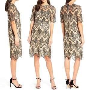 Anthropologie Caara Scalloped Lace Shift Dress Black Beige Small